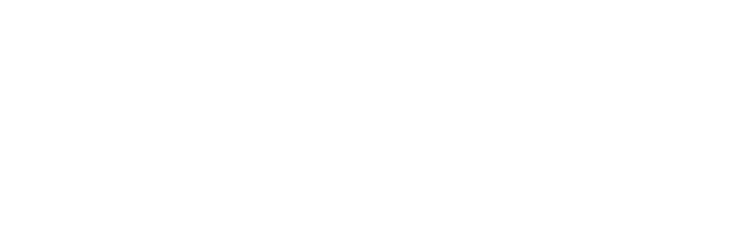 This is the flowt logo for brand identification